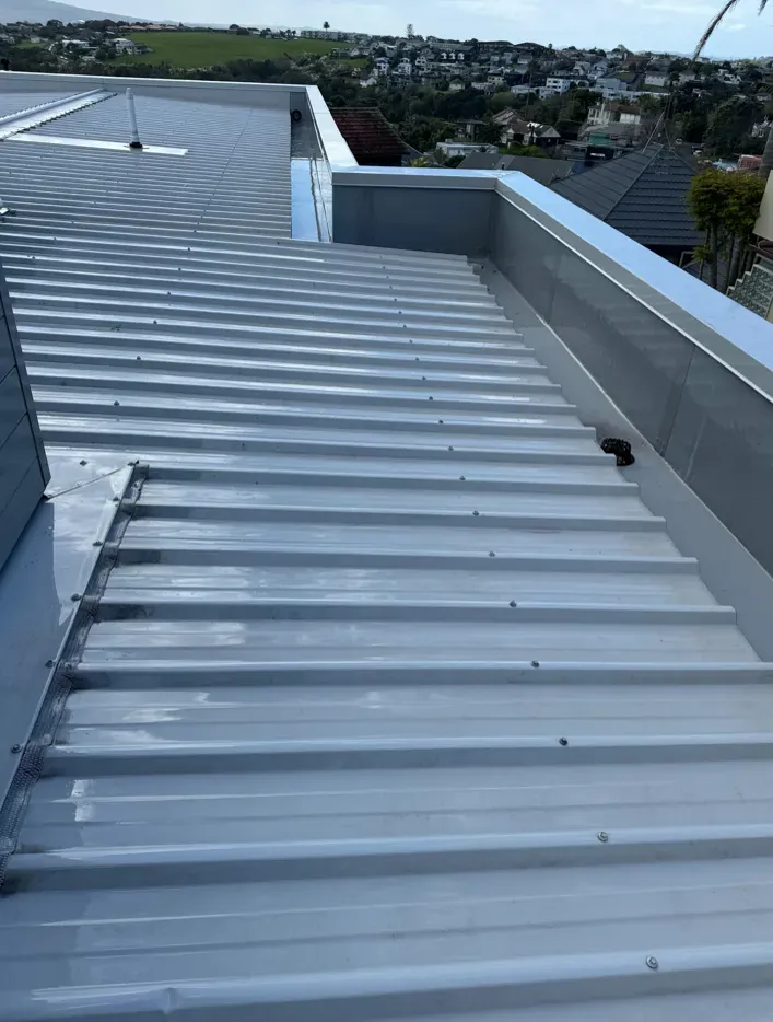 Corrugated steel roof: after
