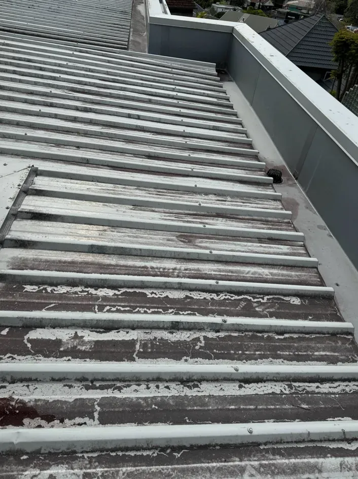 Corrugated steel roof: before